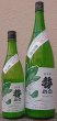 画像1: 勢正宗 Green carp 純米無濾過生原酒 おりがらみ 720ml or 1800ml R6BY 2025年 (1)